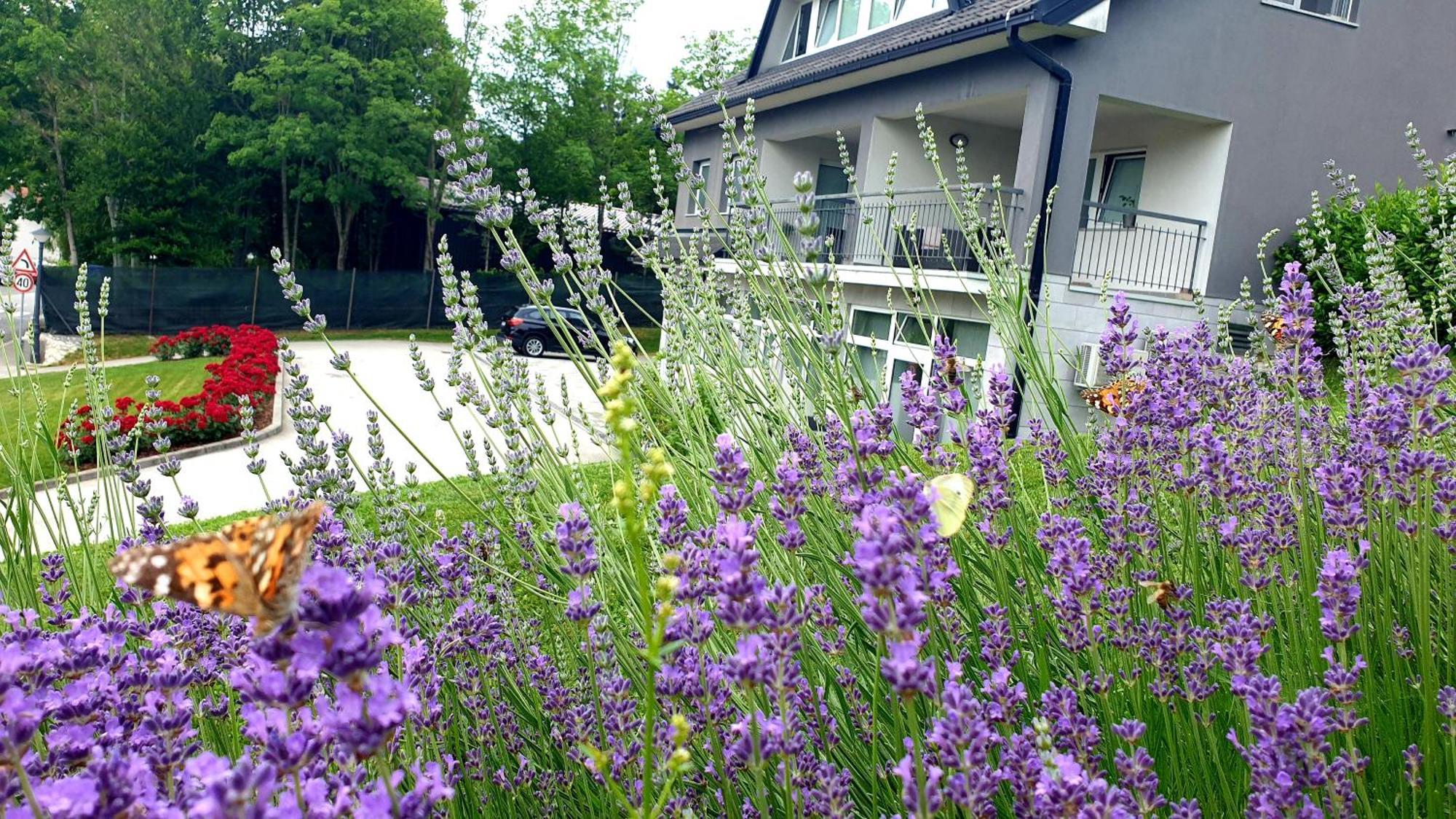 Apartmani Sanja Krapinske Toplice Bagian luar foto