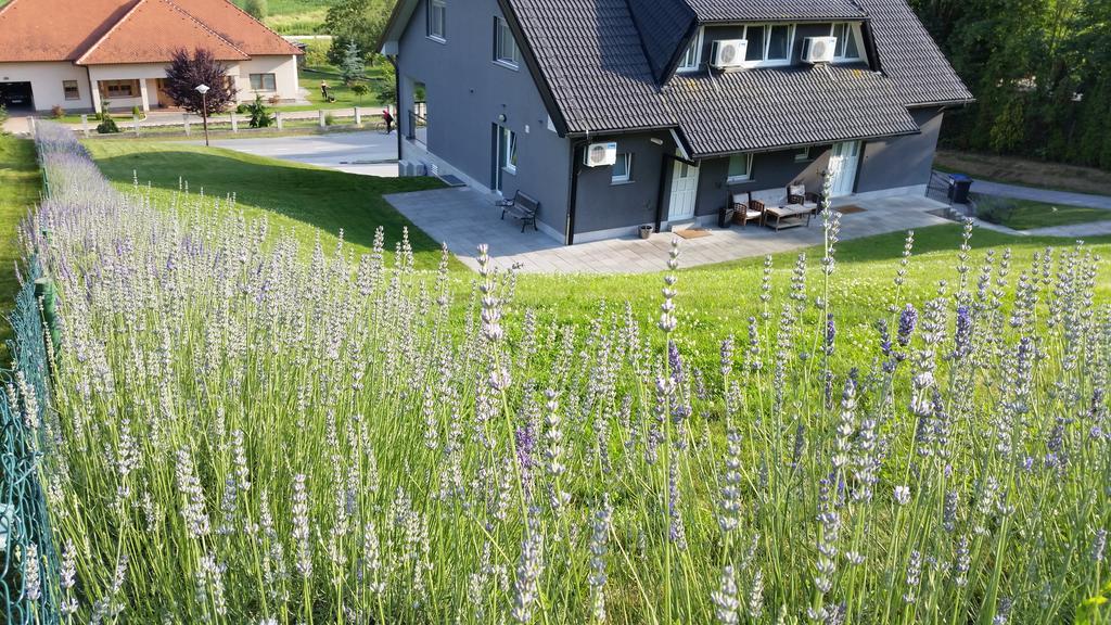 Apartmani Sanja Krapinske Toplice Bagian luar foto